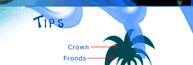 frondly.com